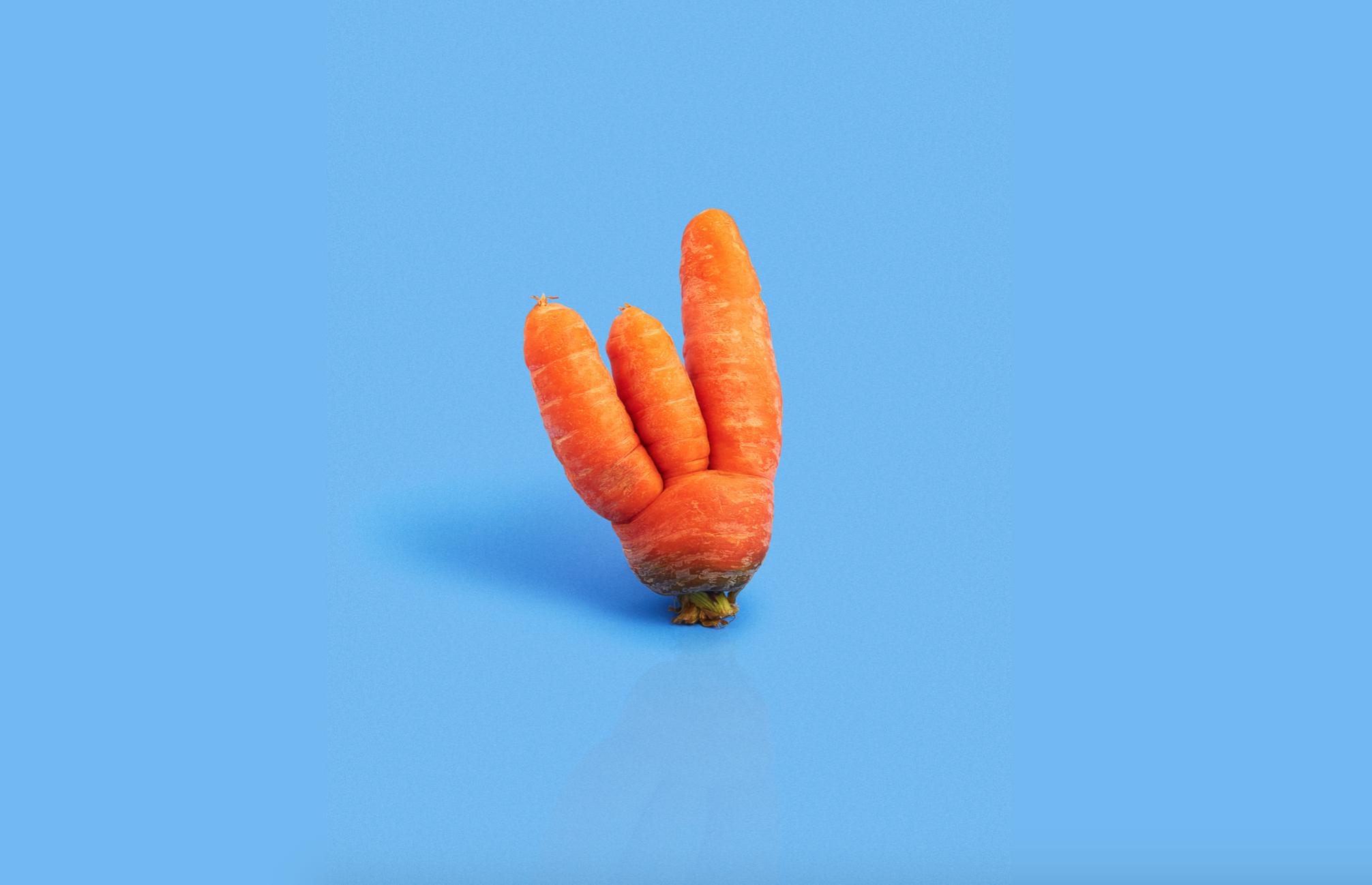 How two CBS Alumni are Selling Ugly Fruits and Veggies for a Change