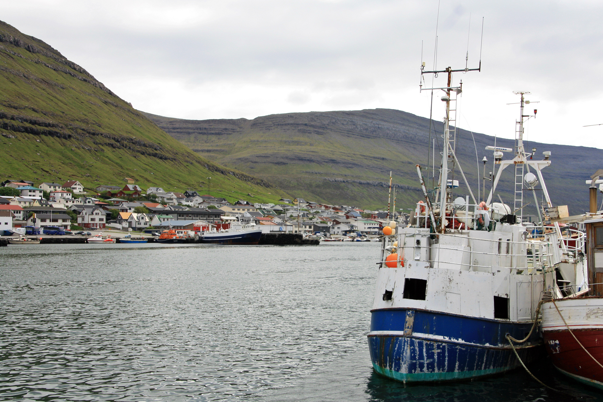 Redistributing resource rights in a resource-dependent economy: The case of the Faroese fisheries reform